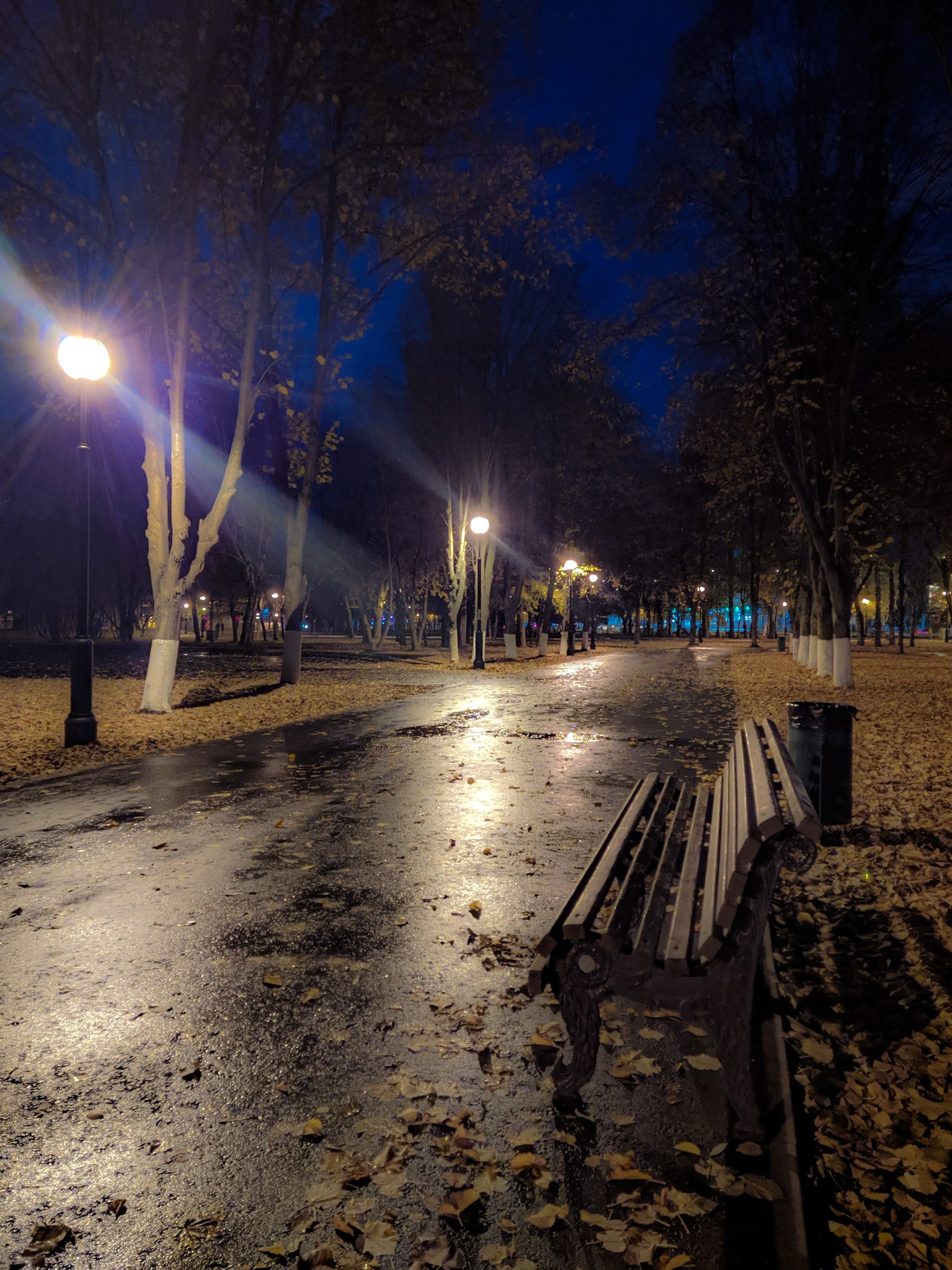 Evening in the park - My, Samara, Beginning photographer, The park, Longpost