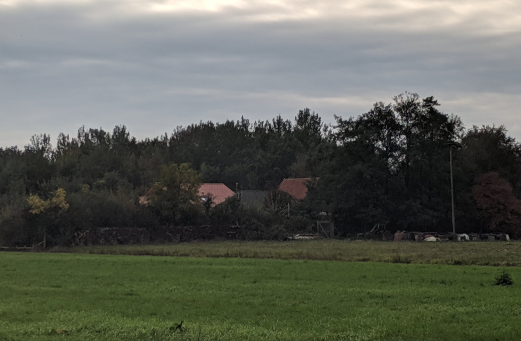 In the Netherlands, found a family that the father hid in the basement of the house for nine years - news, Netherlands, Asylum, Bunker, End of the world, Video, Longpost, Netherlands (Holland)