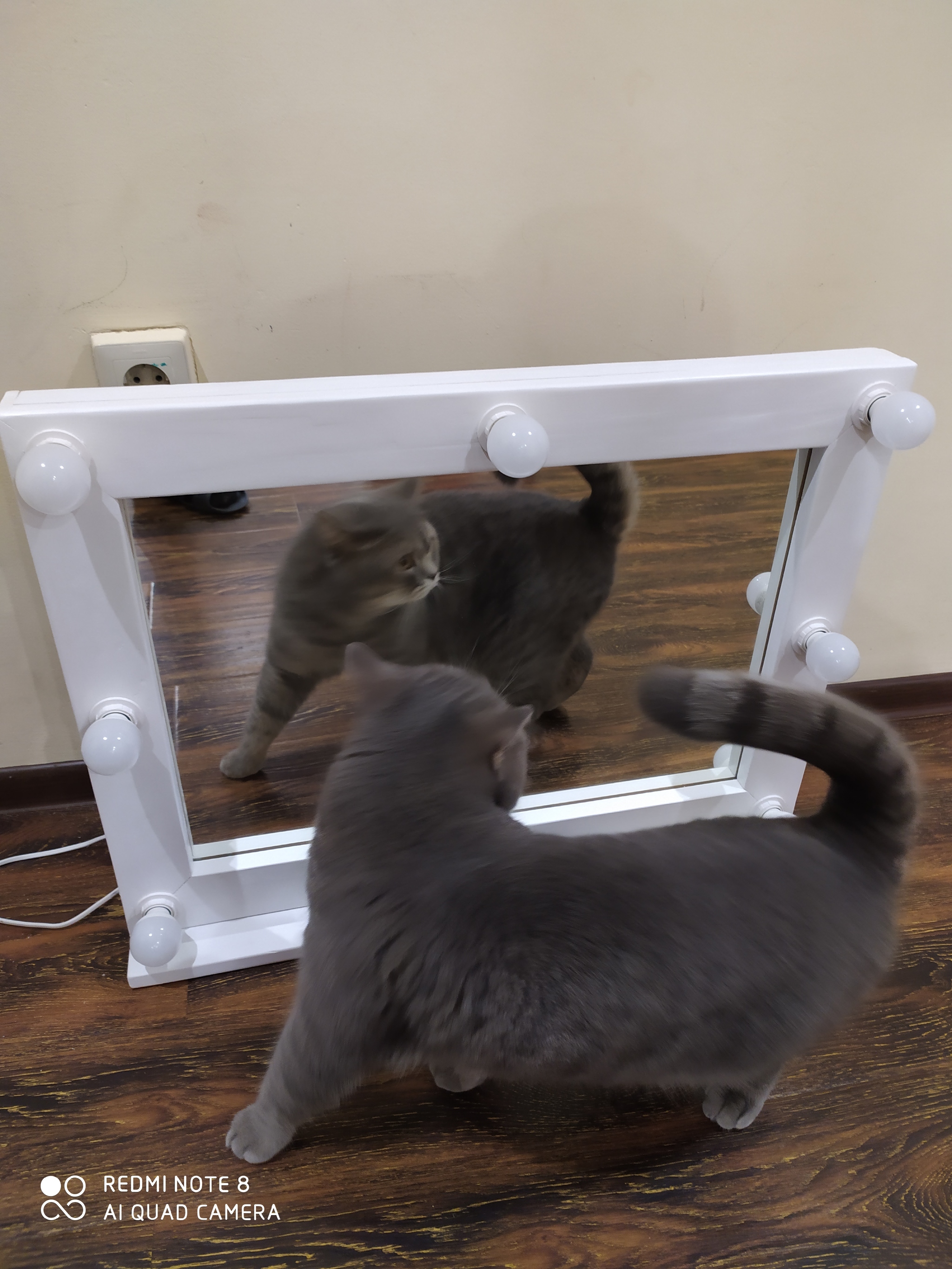 Dressing room mirror. First post. - My, Make-up mirror, With your own hands, Longpost