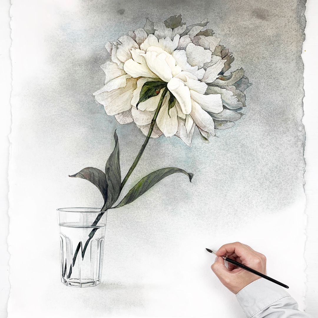 White peony in a glass watercolor - My, Watercolor, Art, Painting, Flowers, The culture, Drawing, Painting, Painting