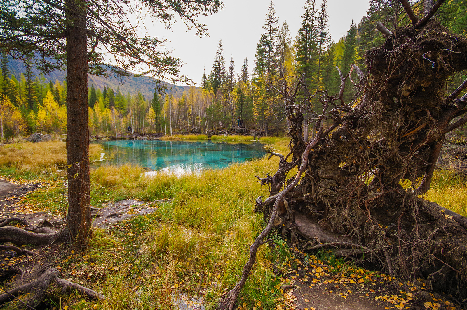 Geyser lake of Altai - My, Mountain Altai, Geyser Lake, Holidays in Russia, Camping, Travels, The photo, Michael, Longpost, Altai Republic