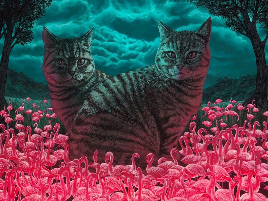 Casey Weldon и её котики - Арт, Рисунок, Подборка, Кот, Casey Weldon, Длиннопост