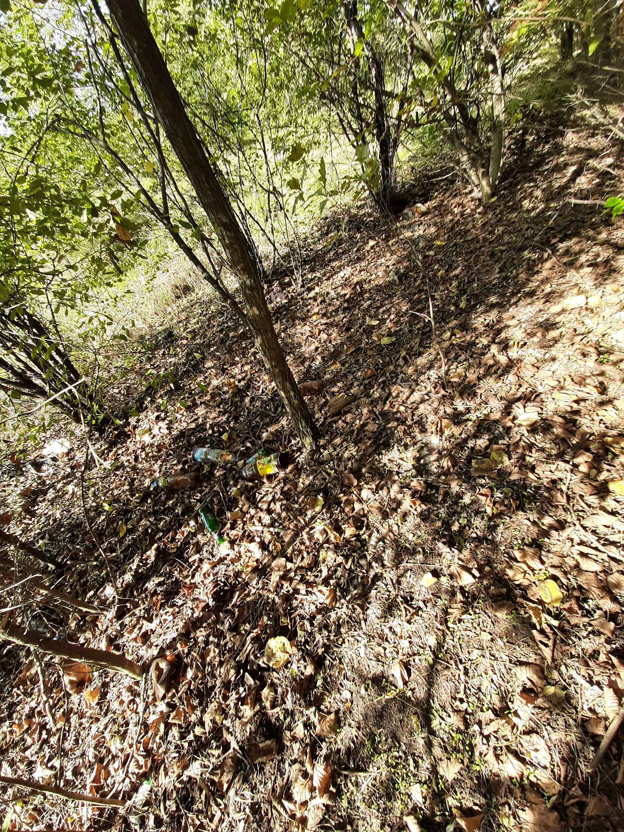 Help take out the trash (Chistomen Krasnodar) - My, Krasnodar, Chistoman, Cleaning, Garbage, Longpost