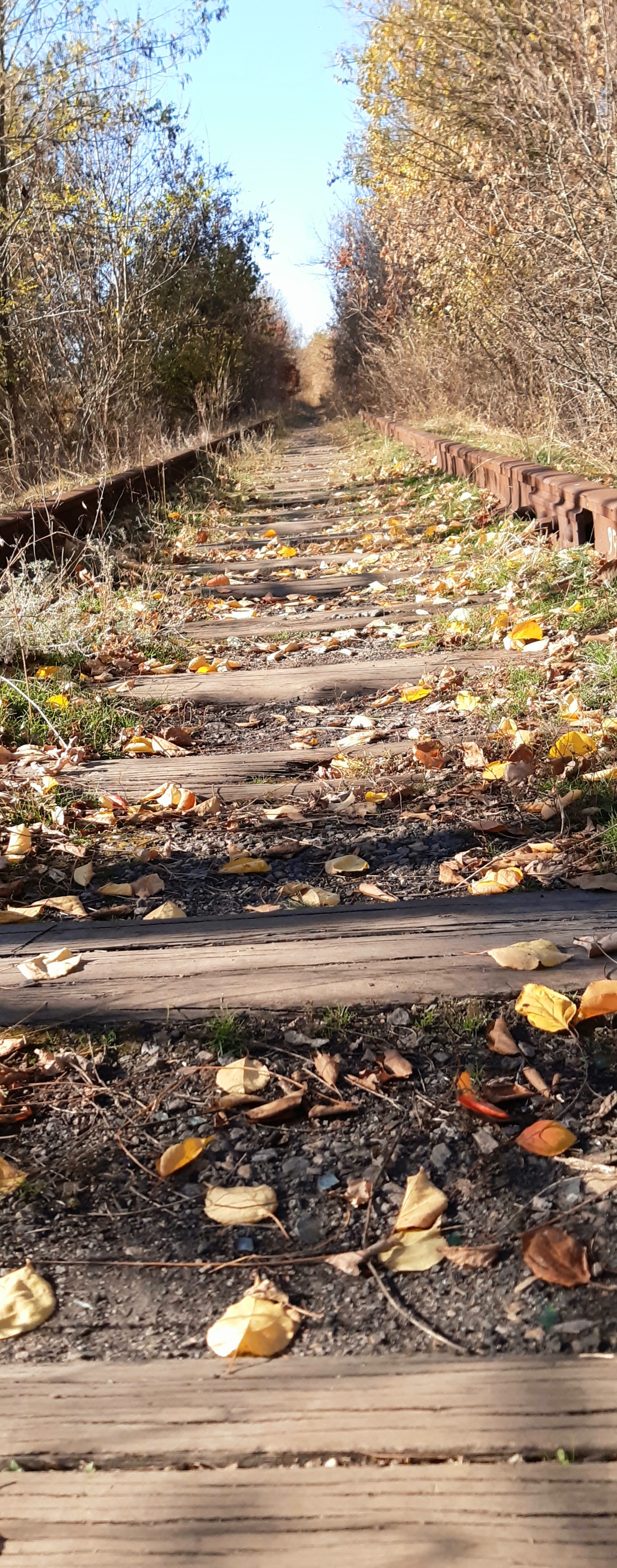 Autumn Donbass (2) - My, Photo on sneaker, Mobile photography, Autumn, Donbass, Longpost