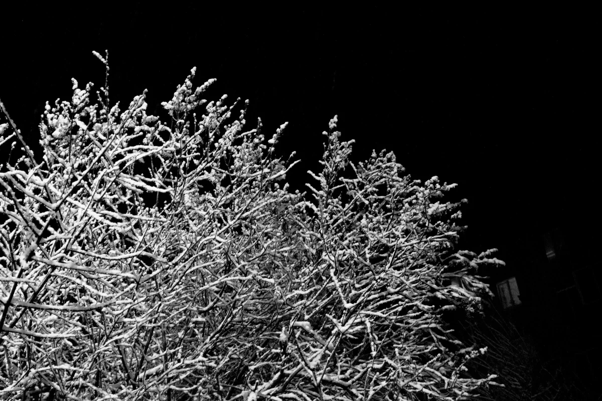 First snow - My, Blues, Snow, Night, Black and white, Black and white photo, Longpost