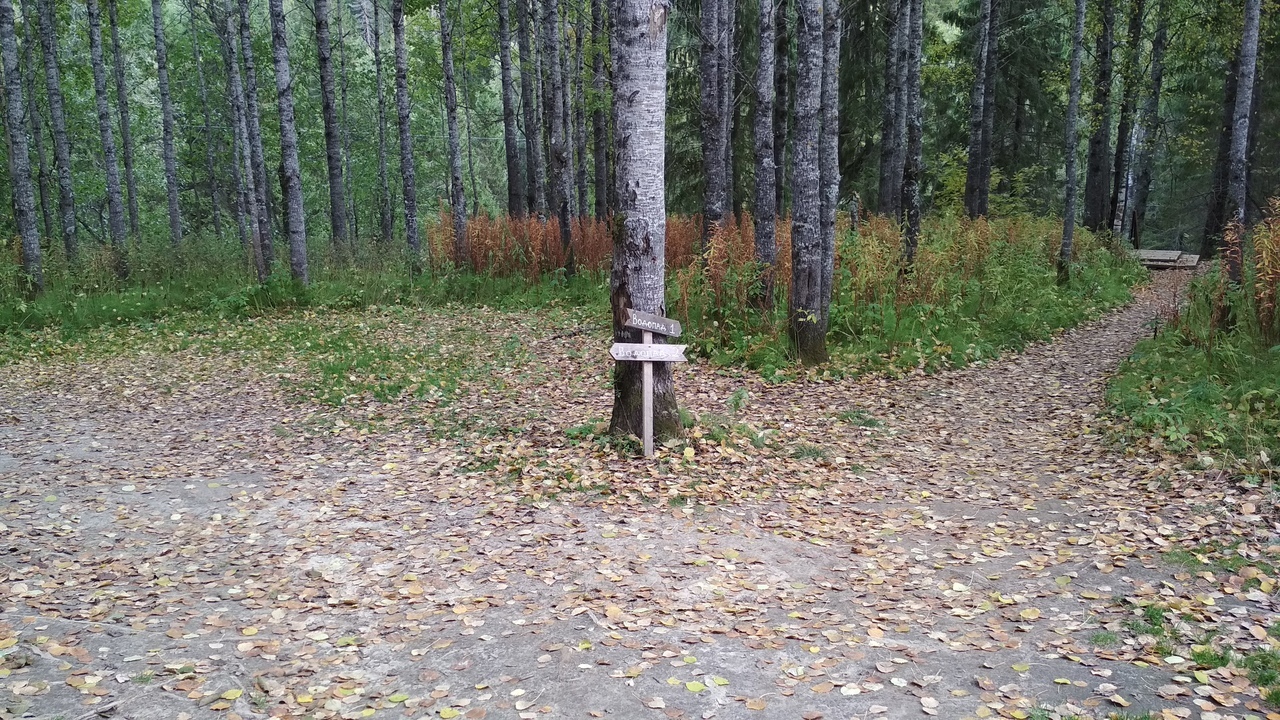 Водопад Белые Мосты, Республика Карелия. - Моё, Водопад, Карелия, Автопутешествие, Природа, Отдых, Суббота, Длиннопост