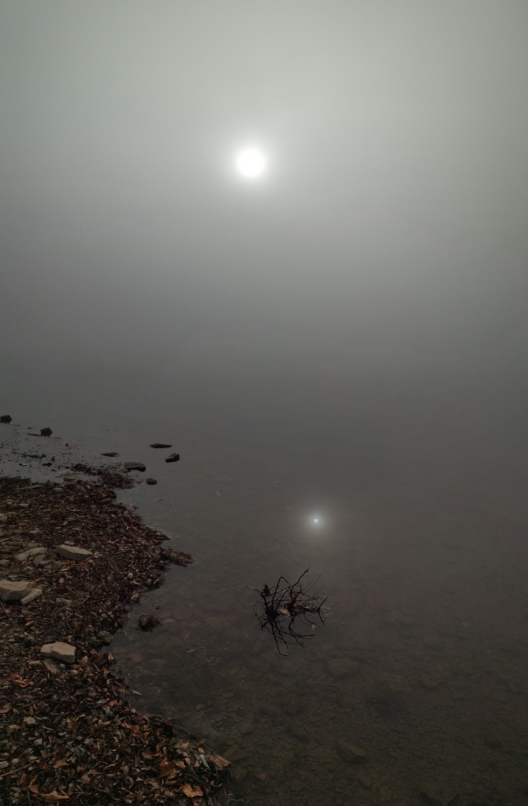 Silent Hill is coming. - My, Fog, Landscape, Silent Hill, Longpost