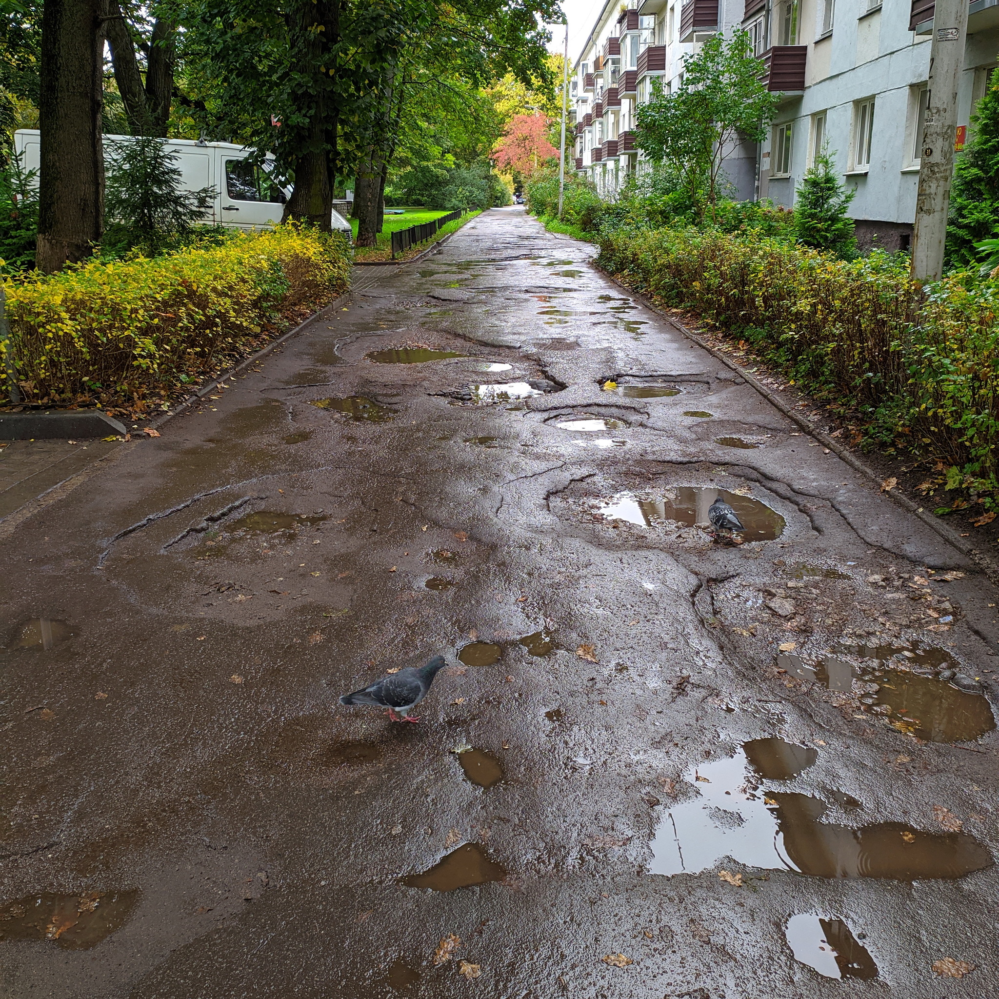 I wander around the city alone - Kaliningrad - My, Kaliningrad, Photobritish, Koenigsberg, Video, Longpost