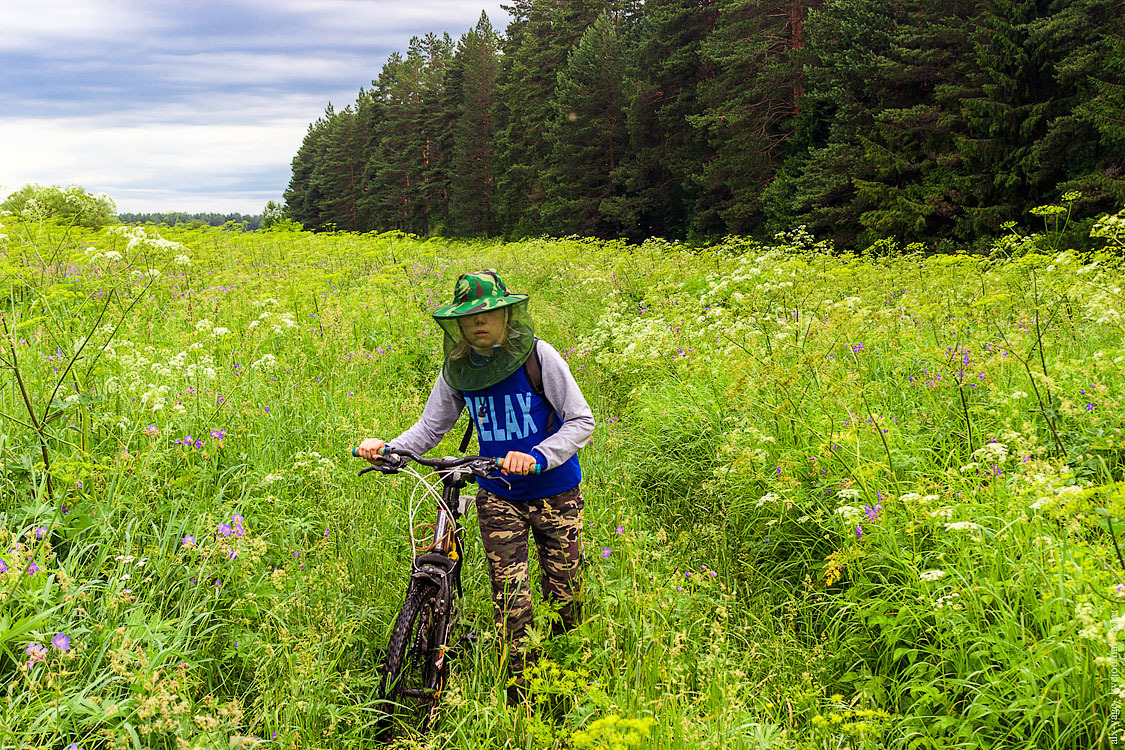 A small circle on bikes. - My, Travels, Bike ride, The photo, Kirov region, Longpost