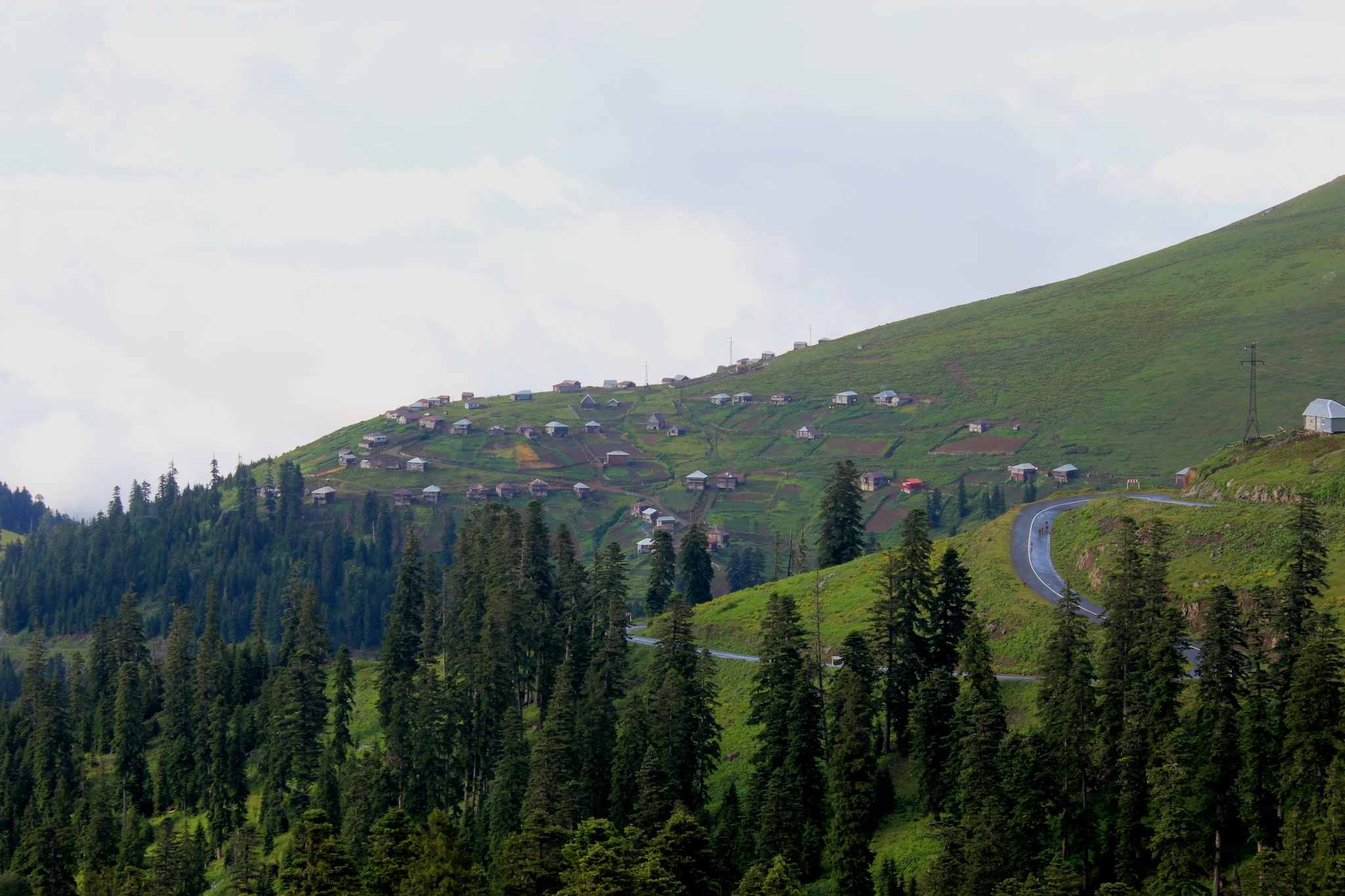 Bakhmaro. Georgia - My, Georgia, Tbilisi, Longpost