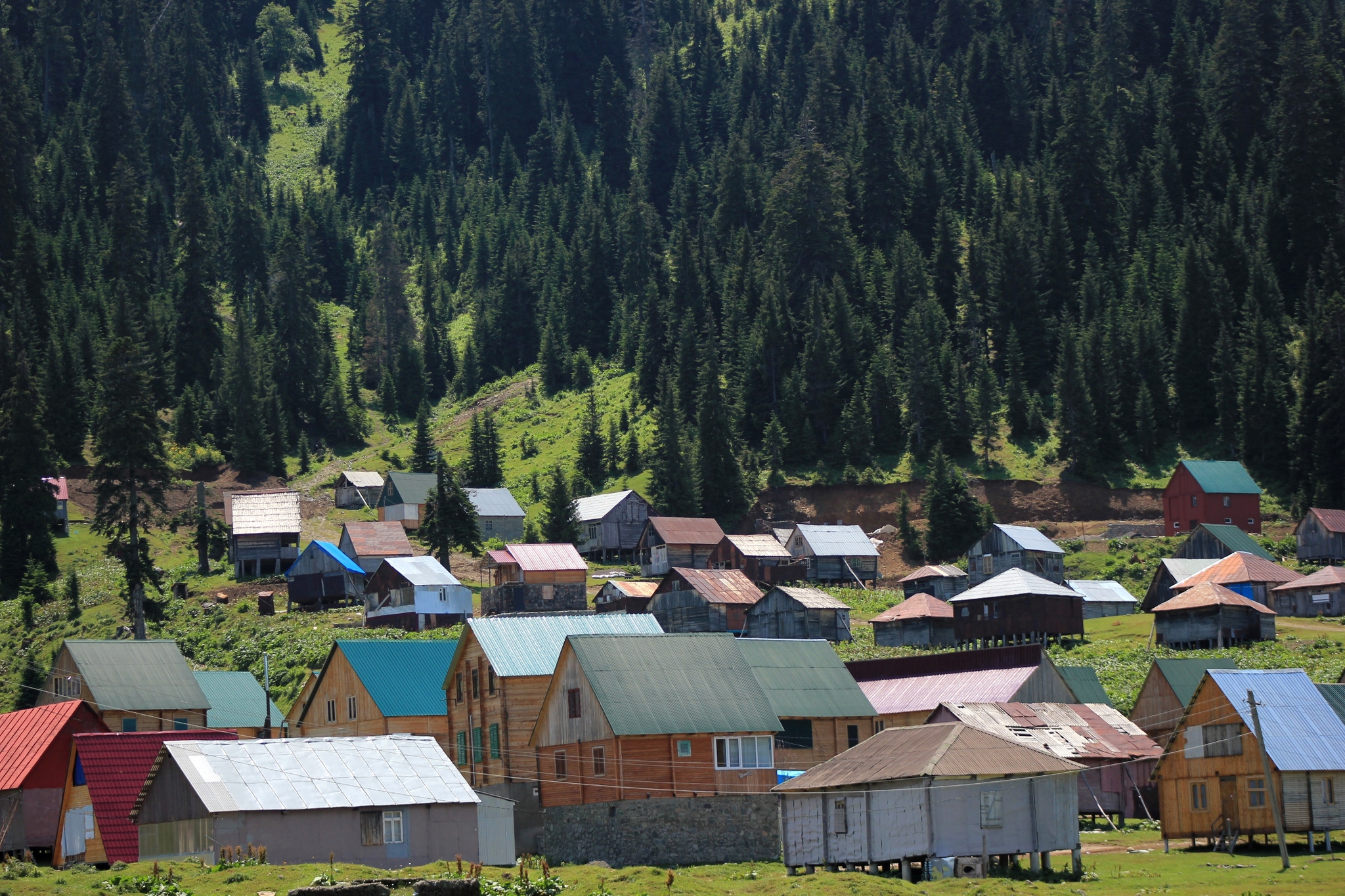 Bakhmaro. Georgia - My, Georgia, Tbilisi, Longpost