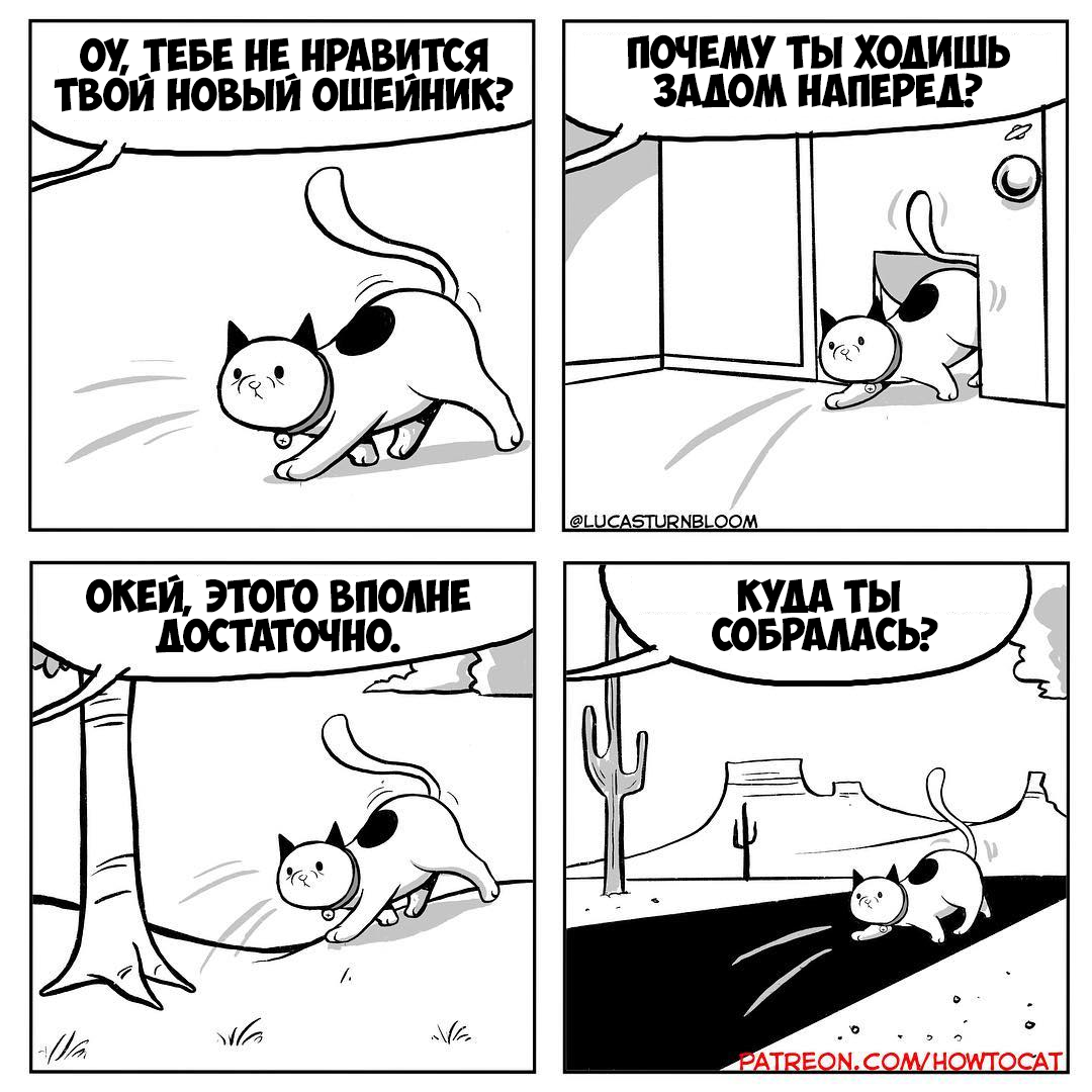 Howtocat Comics, Part Four - Comics, Howtocat, Lucas Turnbloom, cat, Translated by myself, Longpost