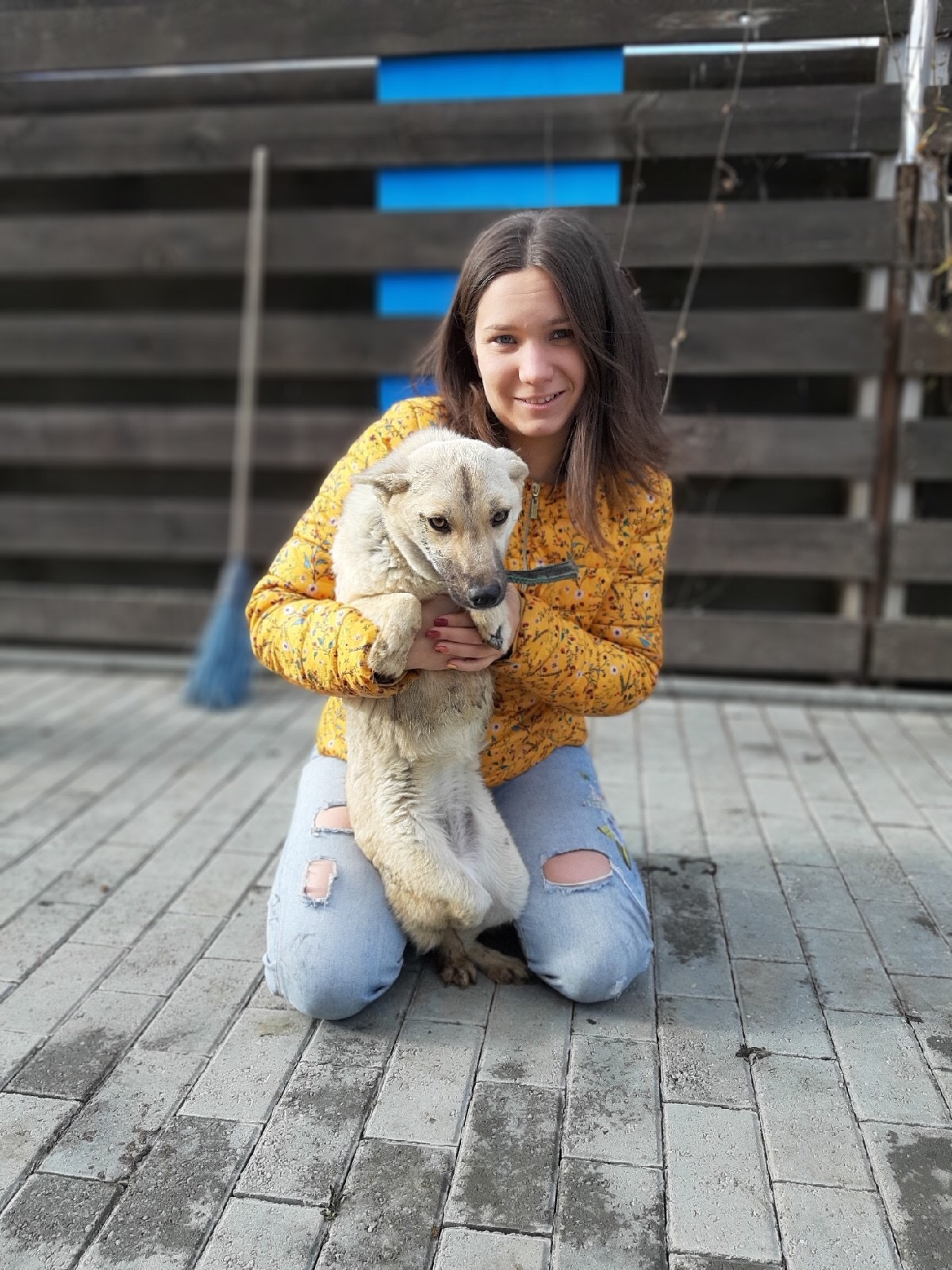 Chelyabinsk gives a second life to hopelessly sick animals - My, Dog, Help, Video, Longpost