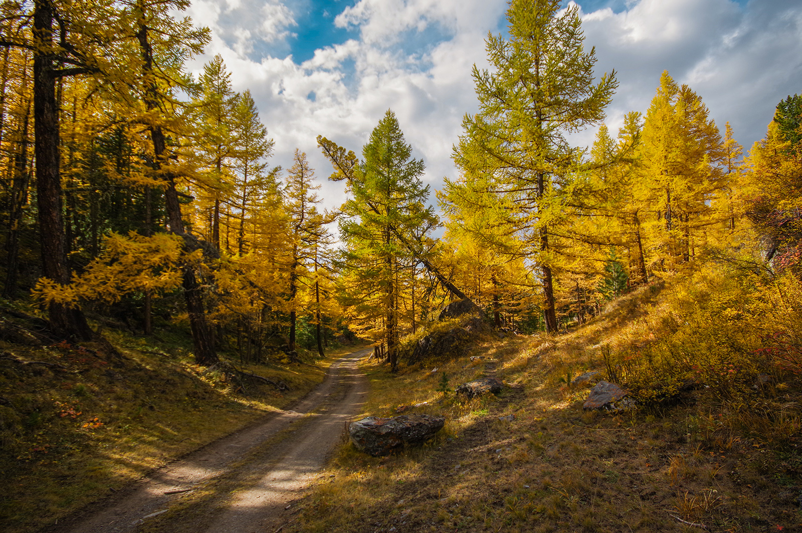 For the sake of sunrises - My, Altai Republic, Travels, Michael, Holidays in Russia, Leisure, The photo, Landscape, Longpost