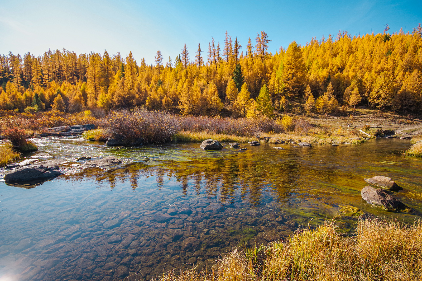 For the sake of sunrises - My, Altai Republic, Travels, Michael, Holidays in Russia, Leisure, The photo, Landscape, Longpost