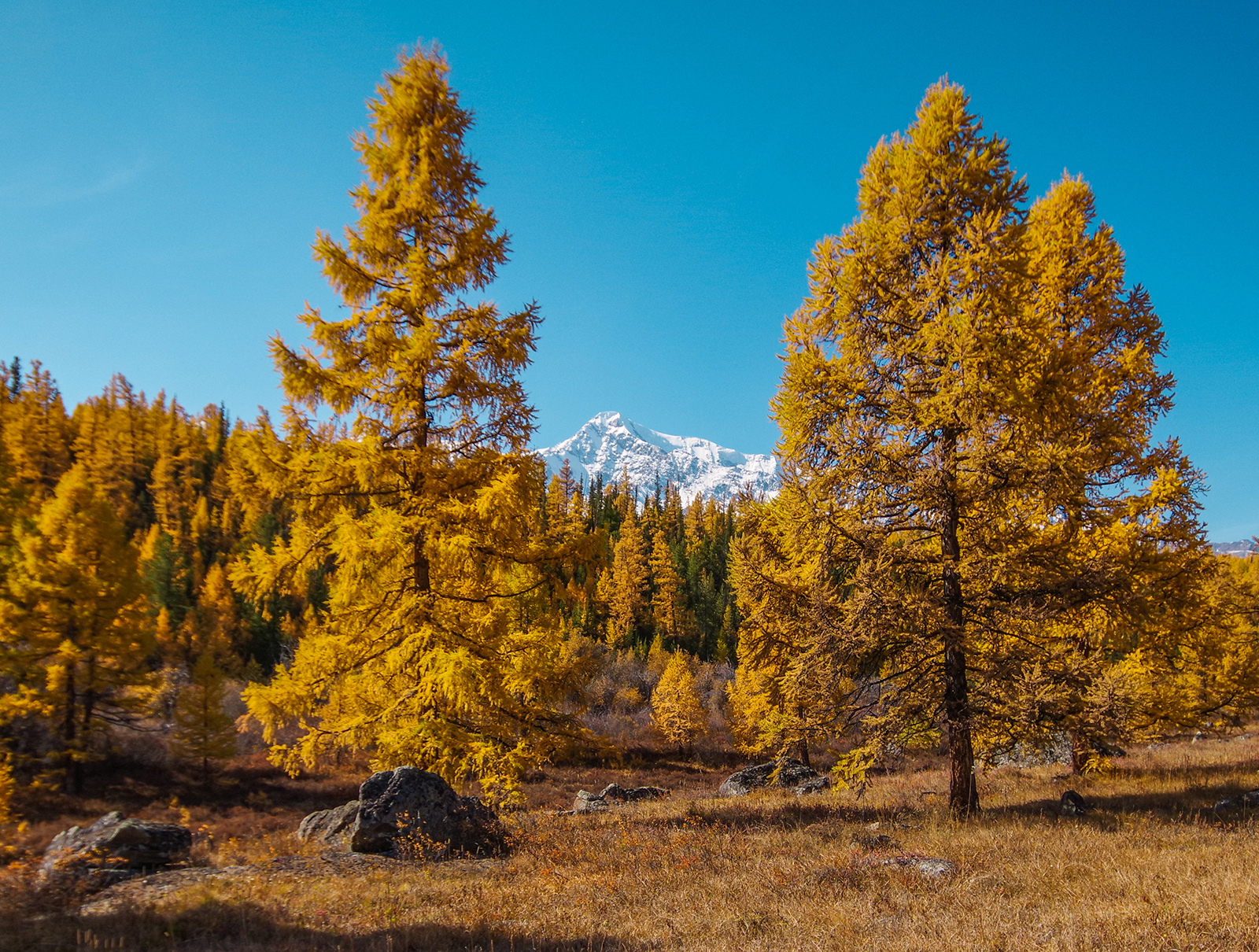 For the sake of sunrises - My, Altai Republic, Travels, Michael, Holidays in Russia, Leisure, The photo, Landscape, Longpost