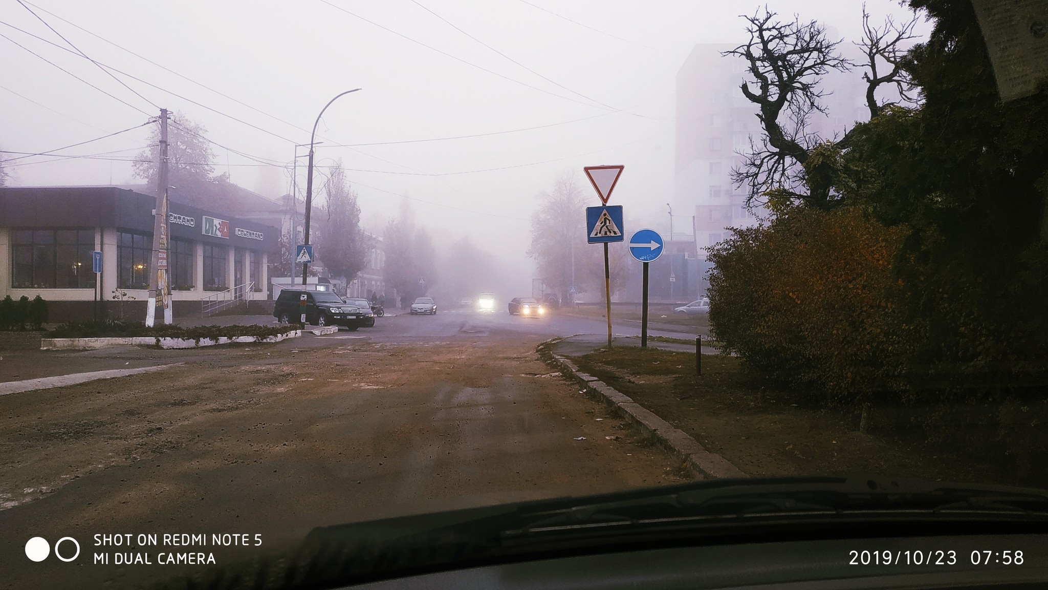 Morning fog. - My, The photo, Weather, Morning