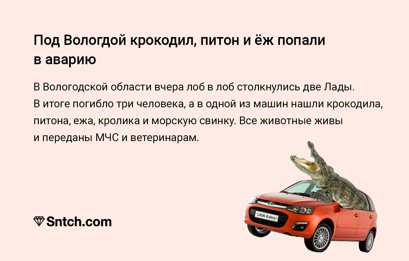 Krylov's fable - Crocodiles, Python, Snake, Road accident, Vologda, Picture with text