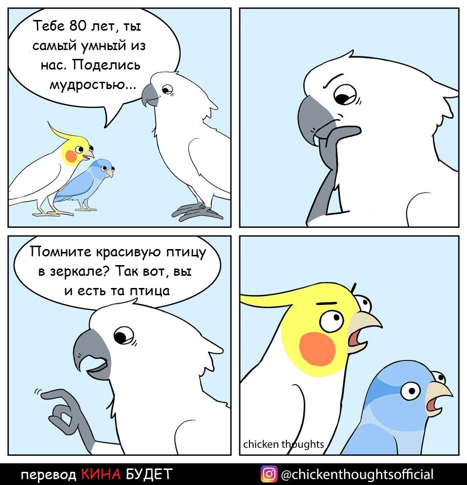The wisest of the wise... - A parrot, Mirror, Wisdom, Comics, Translated by myself, Chicken thoughts