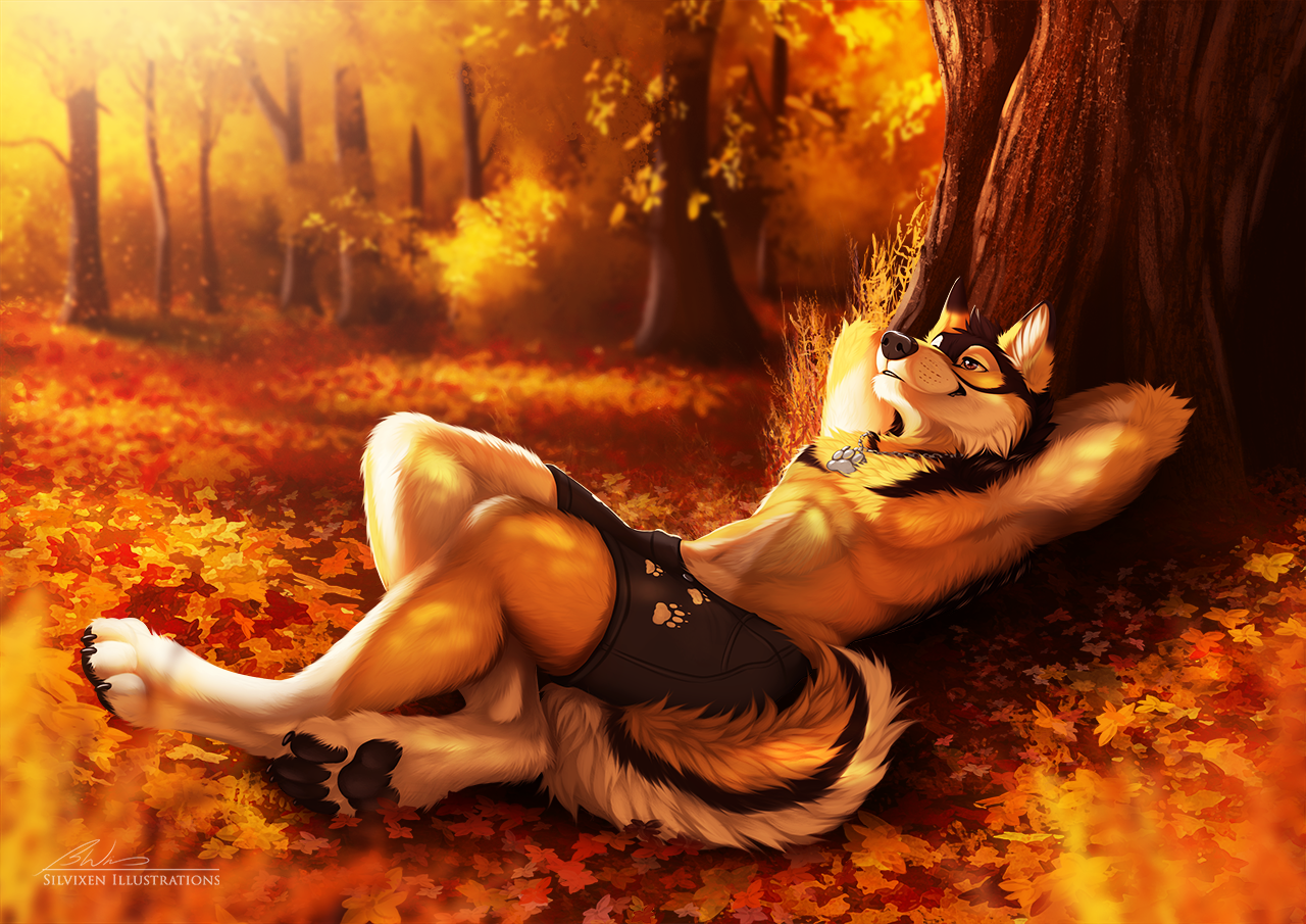 Serenity In The Amber Autumn - Фурри, Furry Art, Furry Canine, Furry wolf, Furry Edge, Осень, Silvixen