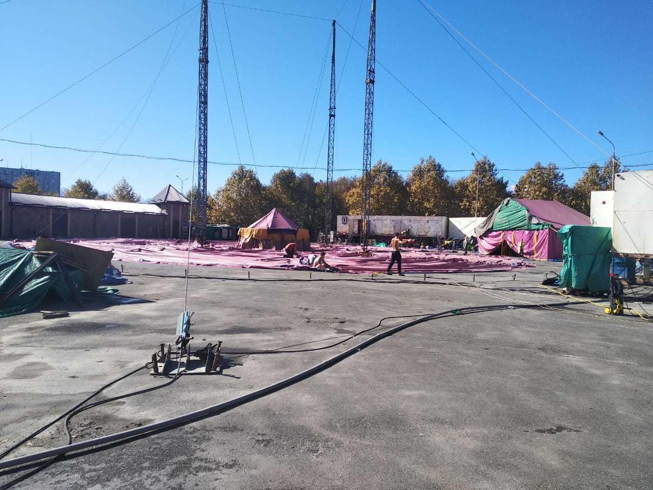 В город приехал цирк. | Пикабу