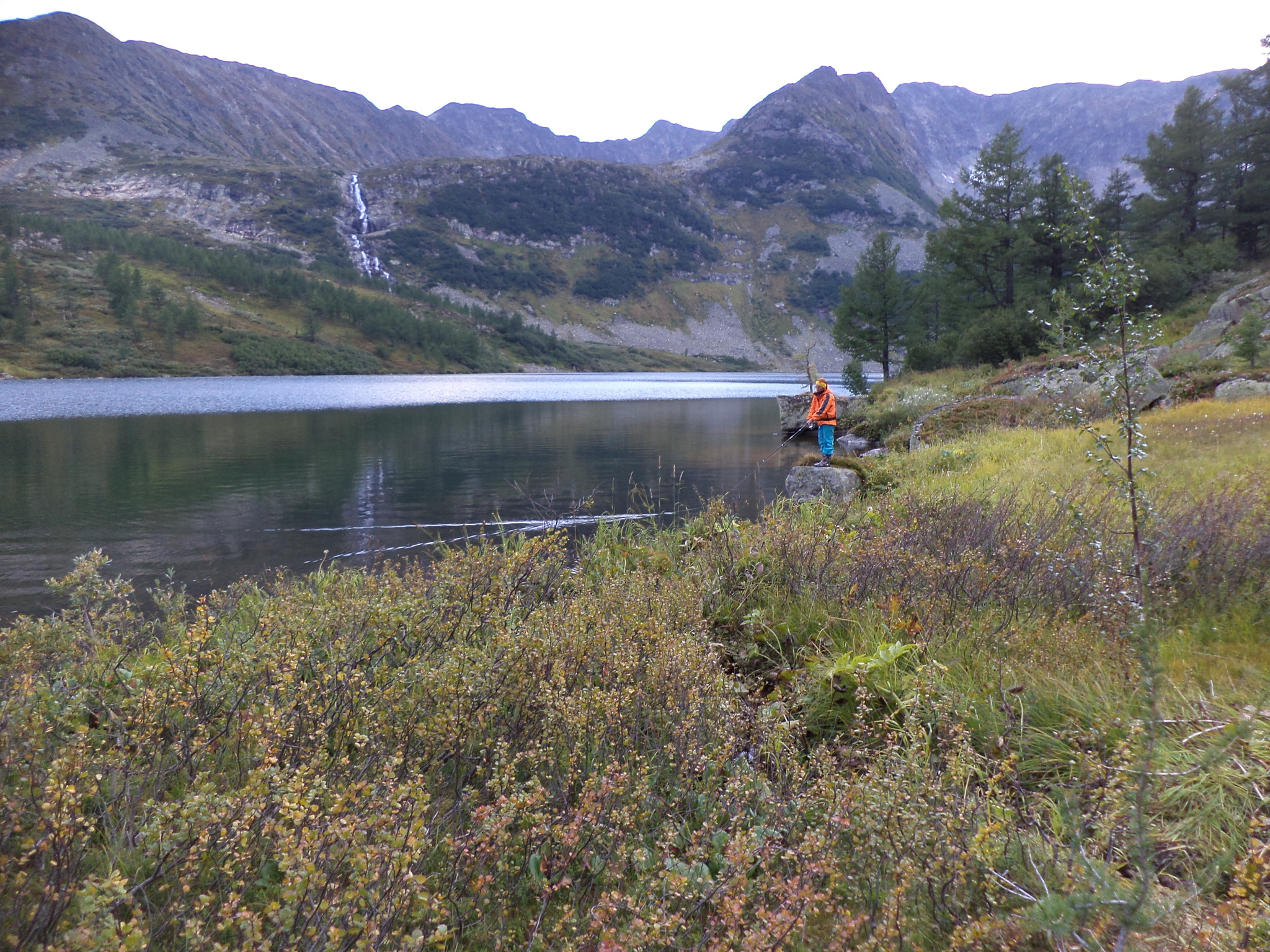 Survival in the Siberian taiga - Hike, Tourism, Fishing, Golden Valley, Kuznetsk Alatau, Video, Longpost