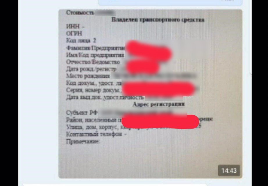 Как в России зарождается очередная этническая ОПГ. Азербайджанский ВБОН. - Моё, Россия, Азербайджан, ОПГ, Исламисты, Нацисты, Насилие, Расследование, Длиннопост, Видео, Негатив