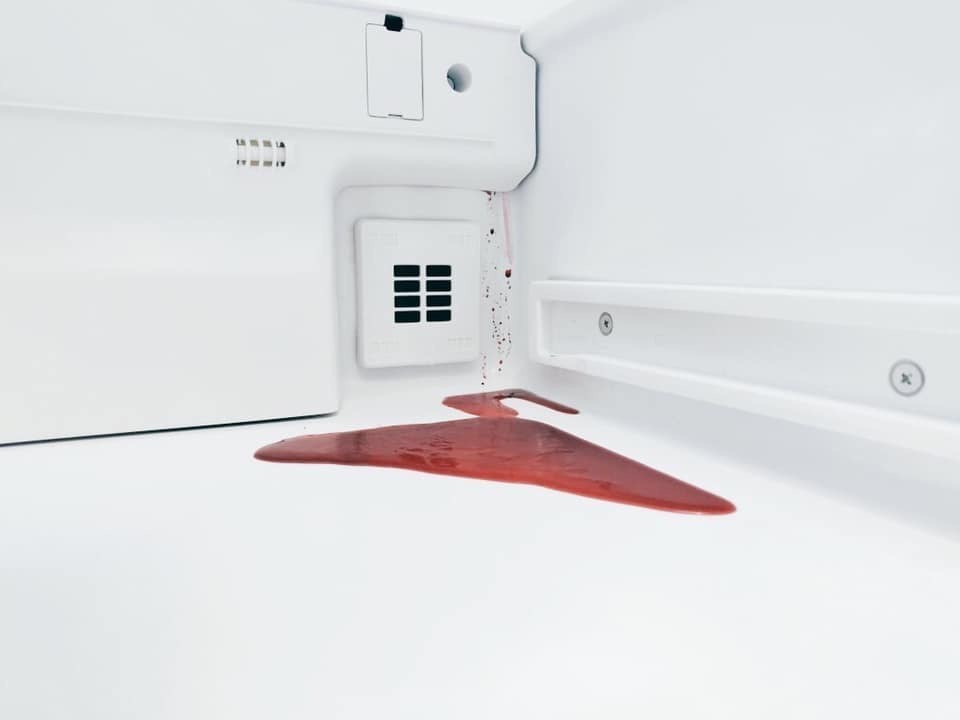 The beet container leaked in the refrigerator and now it looks like a scene from a Kubrick film. - Beet, Refrigerator, Blood, Movies