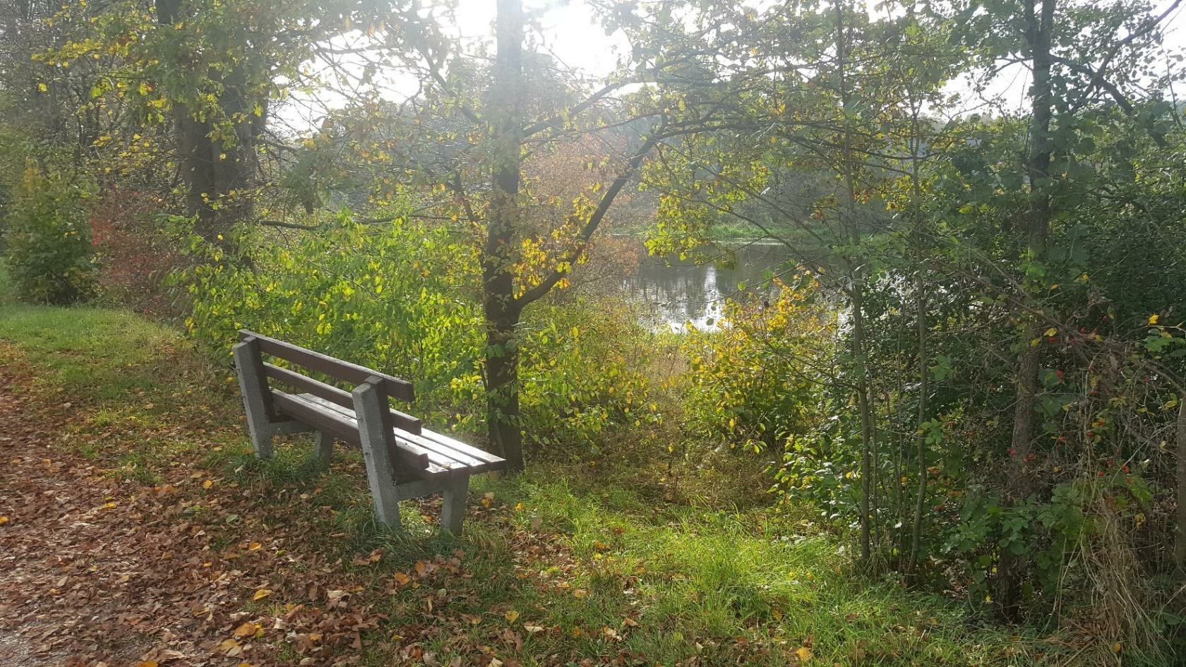 Nature reserve - Nature, beauty, Lake, River, Гусь, Longpost