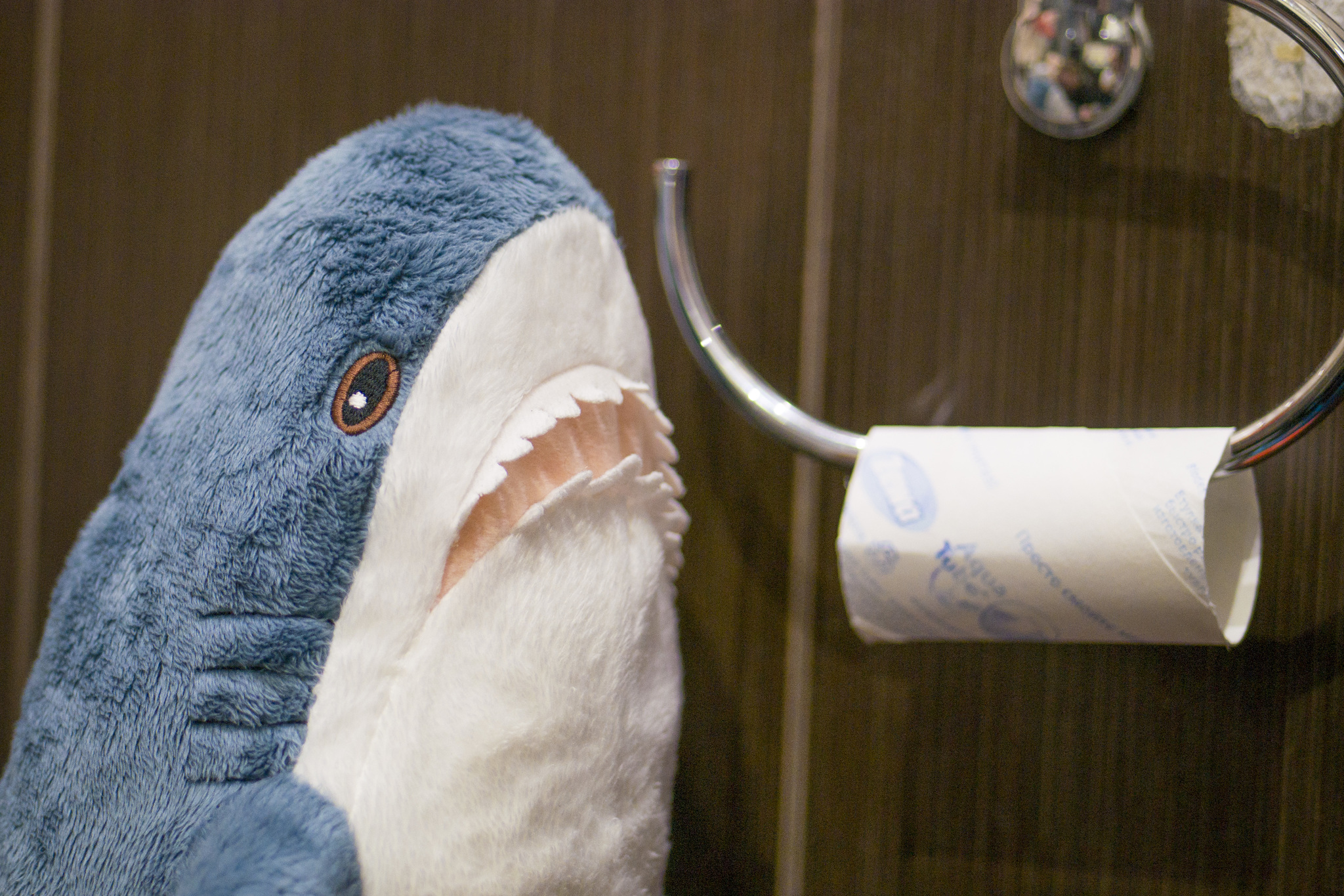 Shark Tuna - lifestyle blogger - My, Shark, Plush Toys, The photo, Autumn, Blohey, IKEA, Instagram, Video, Longpost