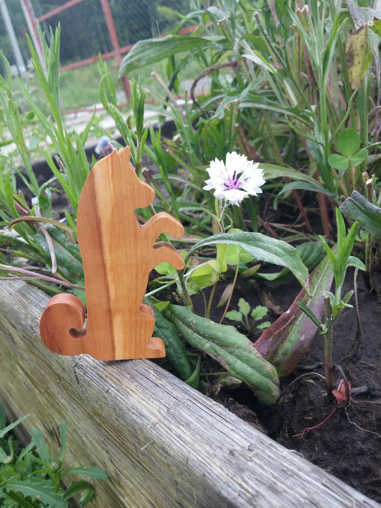 Wooden Shiba Jenga - My, Jenga, Shiba Inu, Jenga, Longpost