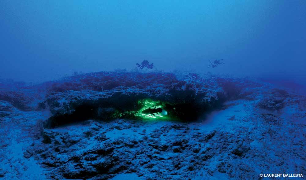 The world hidden under the ice of Antarctica - photographer Laurent Ballesta - Nature, Ocean, The photo, Longpost