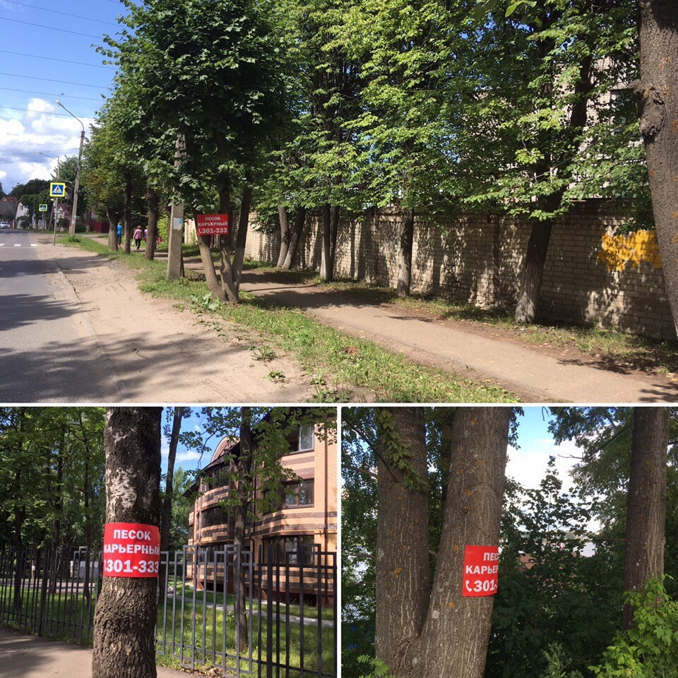 #TRASHTAG 27.0 - Kostroma, Nature, Ecology, Volga river, Pure Man's League, Garbage, Saturday clean-up, Longpost