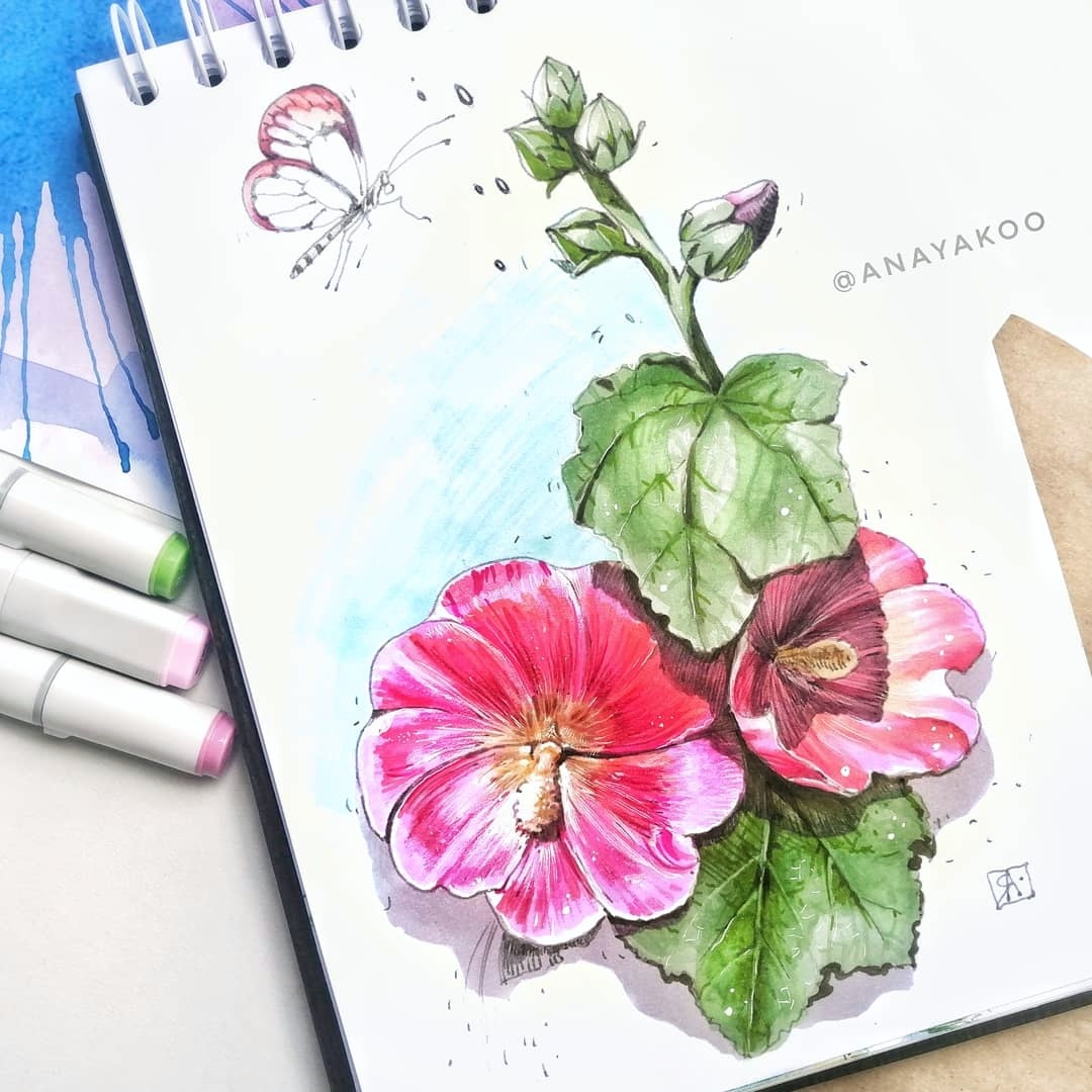 Mallow - My, Mallow, Flowers, Drawing, Sketch, Sketchbook, Art, Alcohol markers, Liner