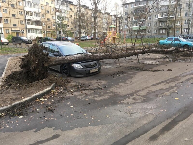 Hurricane in Yaroslavl: chronicle of a wild night - Yaroslavl, Hurricane, Video, The photo, Chronicle, Longpost