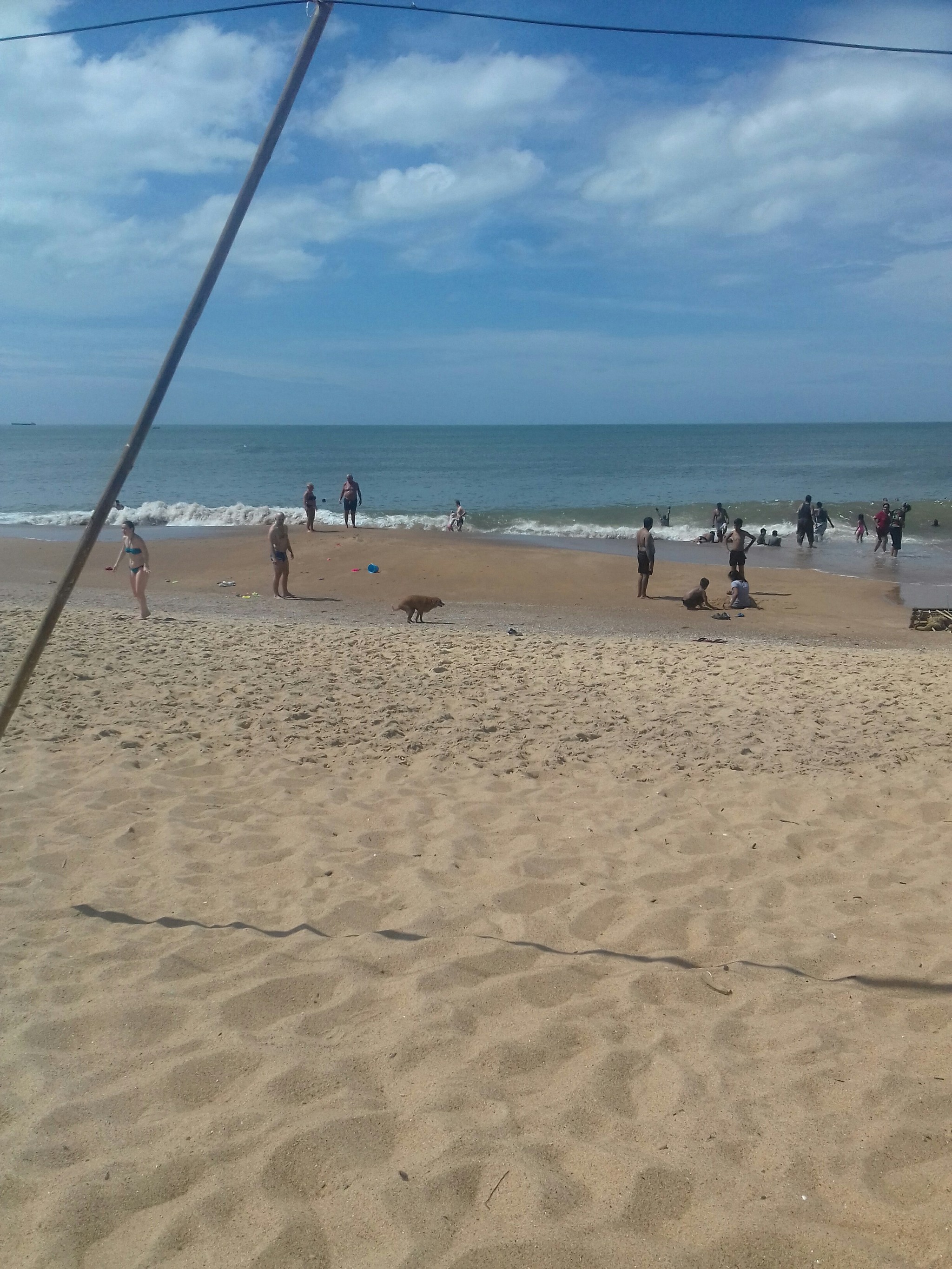 Candolim Beach, North Goa - My, India, Goa, Beach, Dog