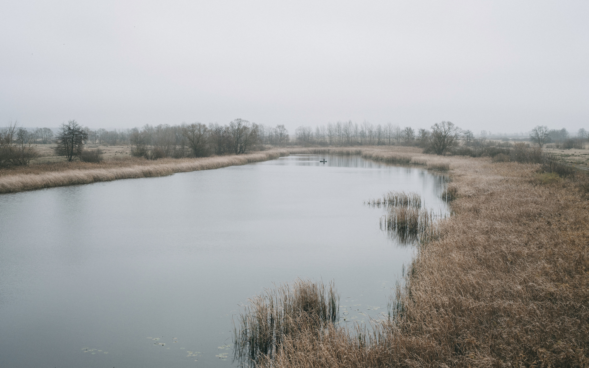 Welcome to November. - My, River, Autumn, November, Fog, Cold, Withering