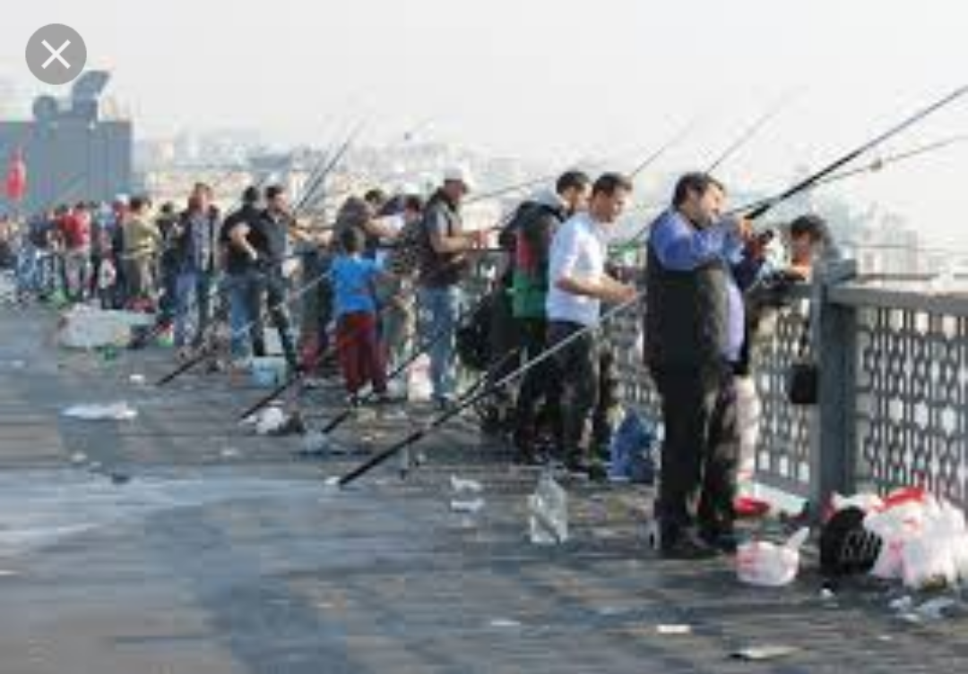 Why can't you fish from a bridge in Germany? - A fish, Fishermen, Fishing, Bridge