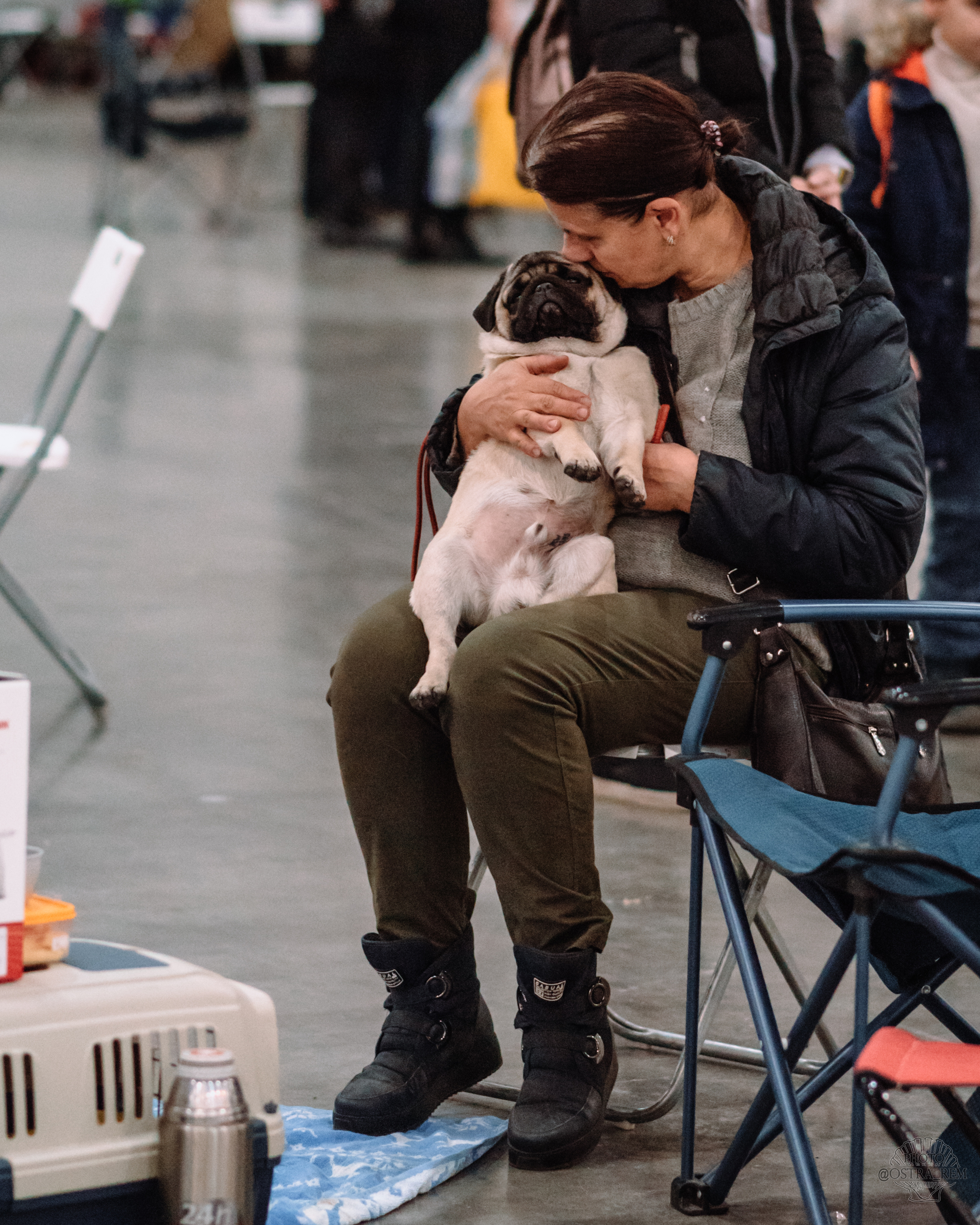 Dog show at Crocus Expo. - My, Dog, Dog breeds, The photo, Dog show, Milota, Nikon, Longpost