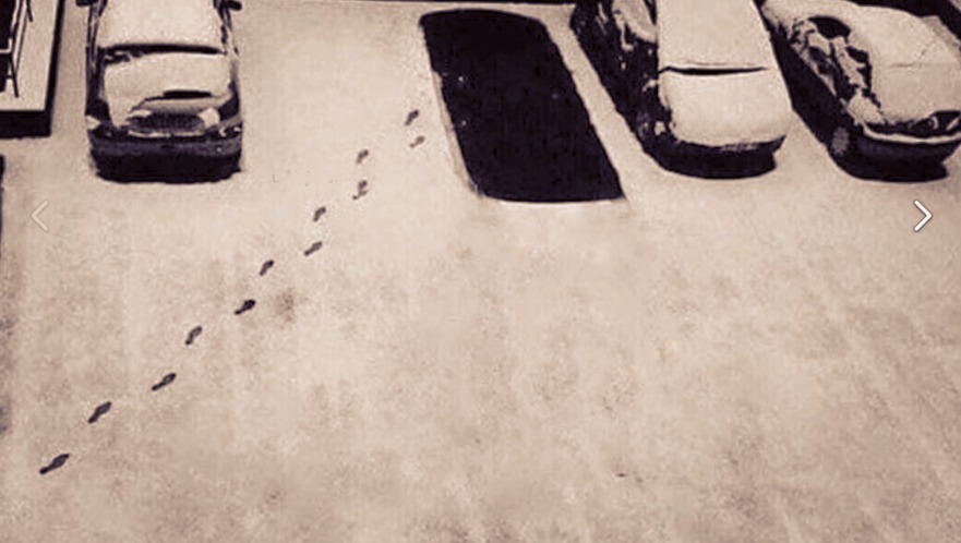 Something's wrong here - Footprints, Snow, Parking, Car, Auto