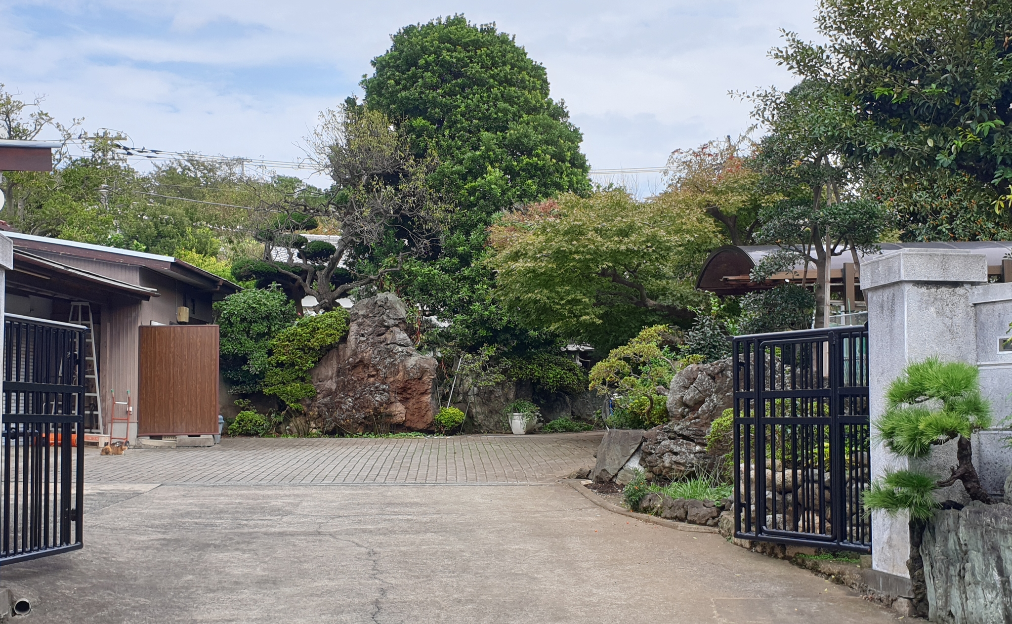 Japanese gardens - My, Japan, Gardens, Nature, Longpost