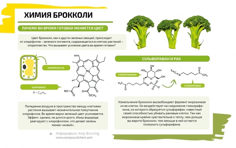 Chemistry of some food products, part 2 - Chemistry, Nutrition, Products, Infographics, Picture with text, Copy-paste, Interesting, Longpost