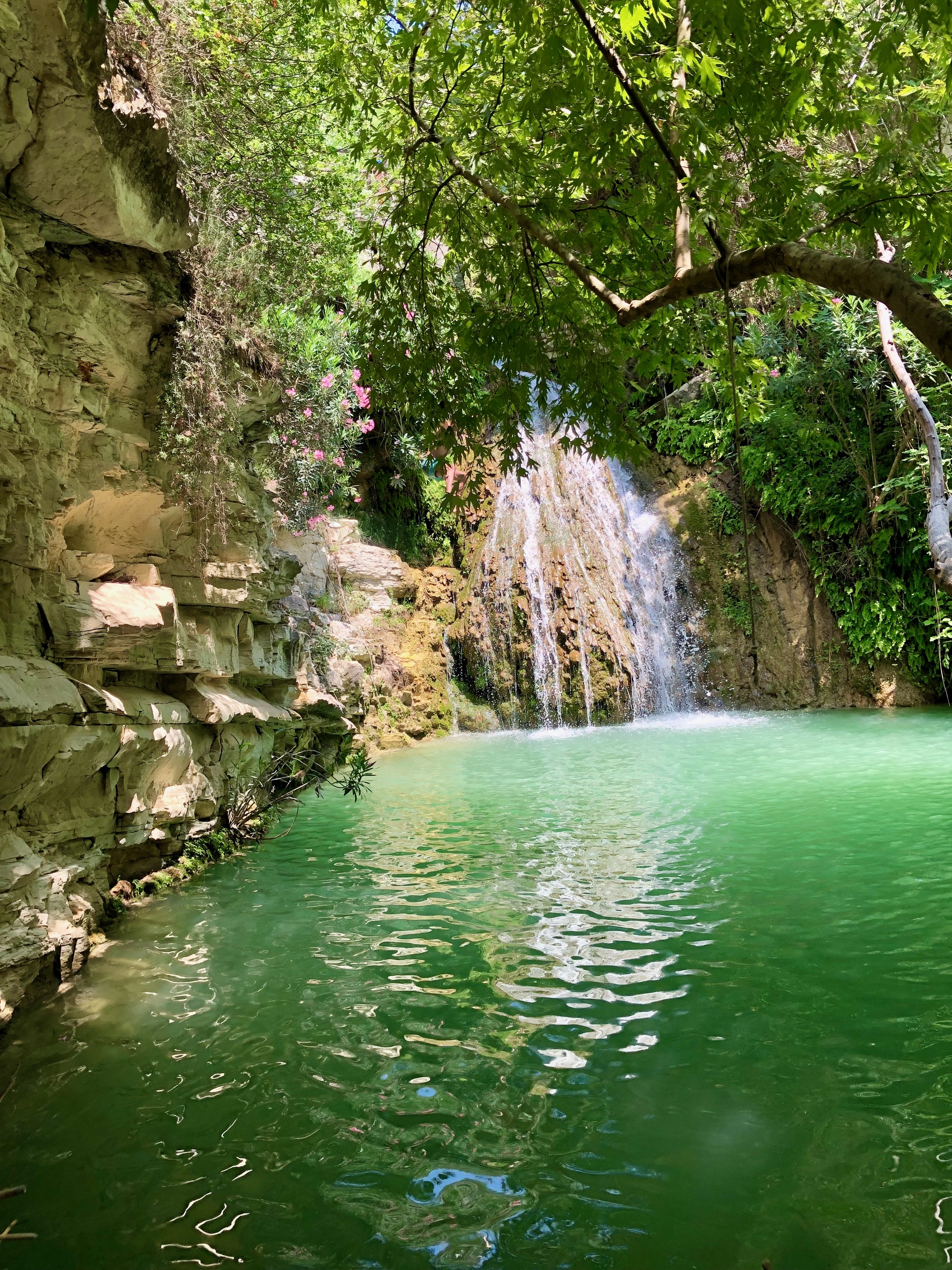 Cyprus. Baths of Adonis. - My, Video, Longpost, Nature, sights