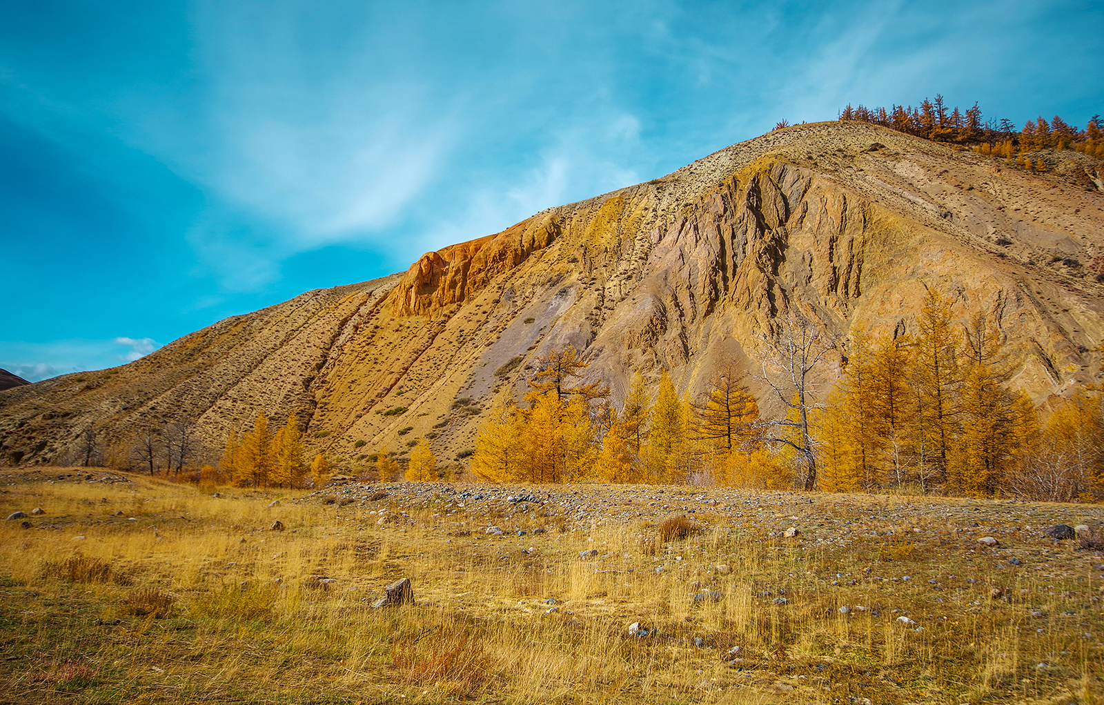 Altai, Mars-2 - My, Altai Republic, Travels, Michael, The photo, Tourism, Landscape, Siberia, Longpost