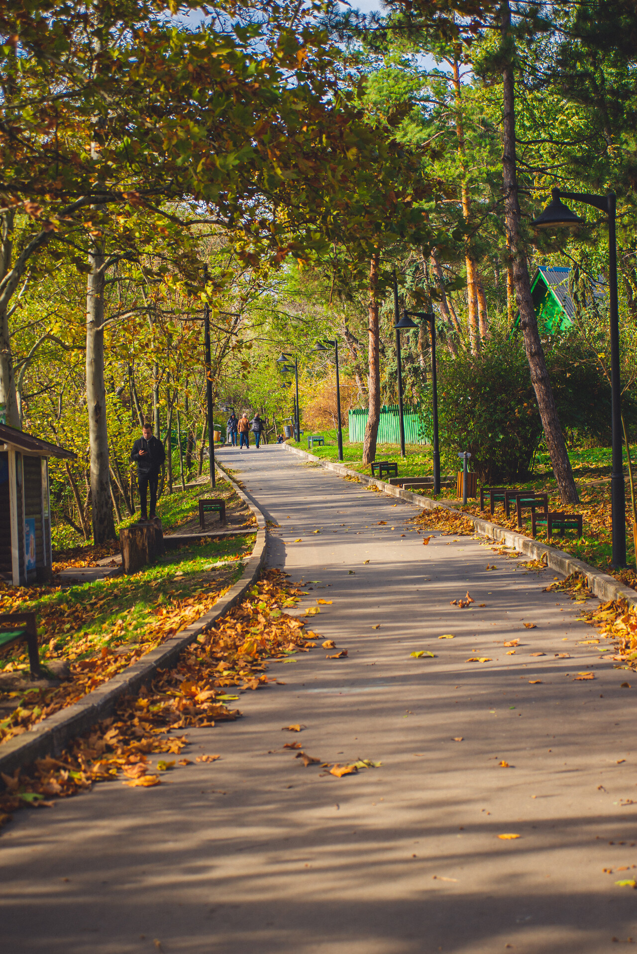 Autumn Chisinau, Rose Valley Park - My, The photo, Kishinev, Autumn, Moldova, Longpost