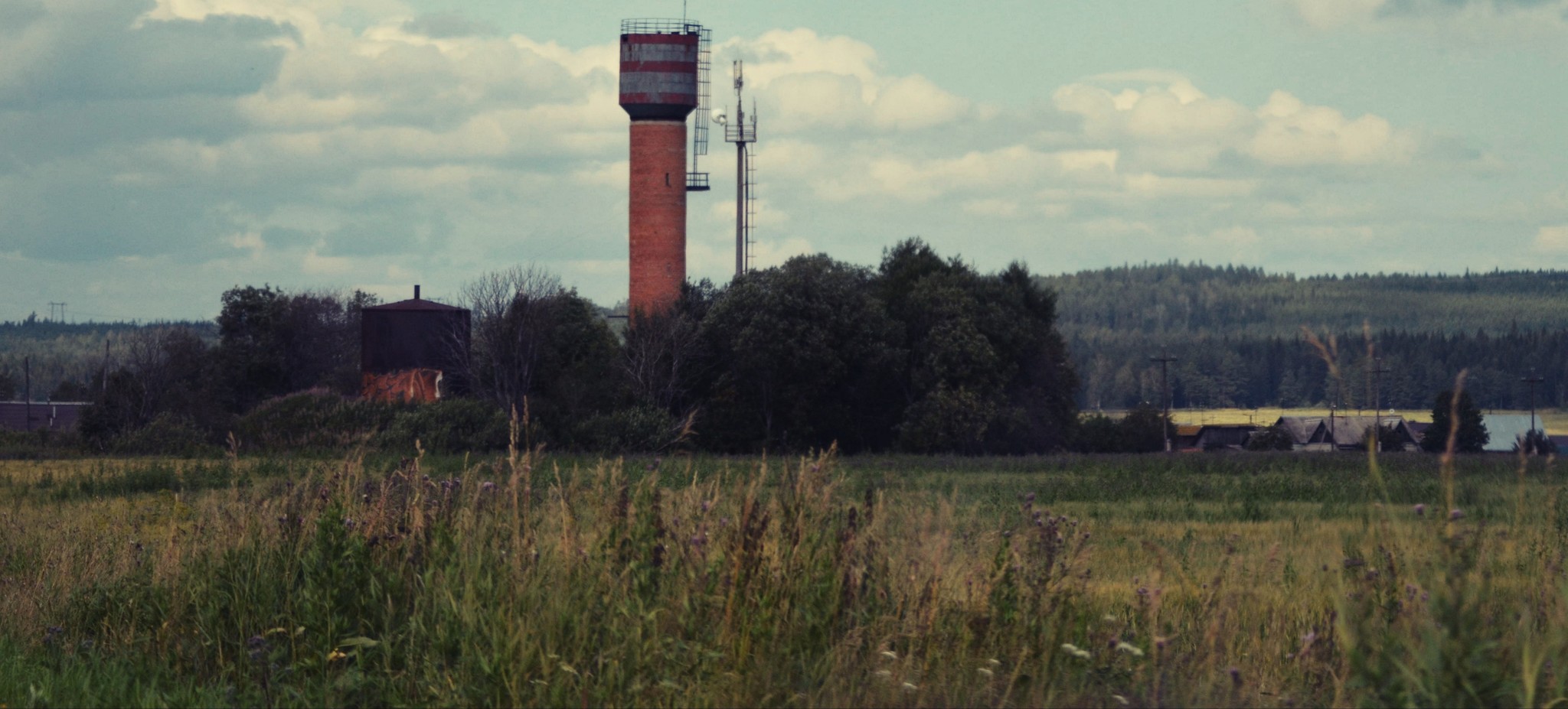 Ural, in the photo. - My, The photo, Ural, cat, Crow, Longpost