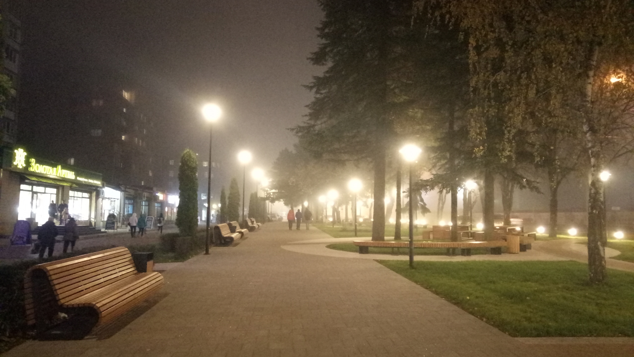 Evening Stavropol. - My, Stavropol, Fog, Autumn, The park, Square, Evening, Walk