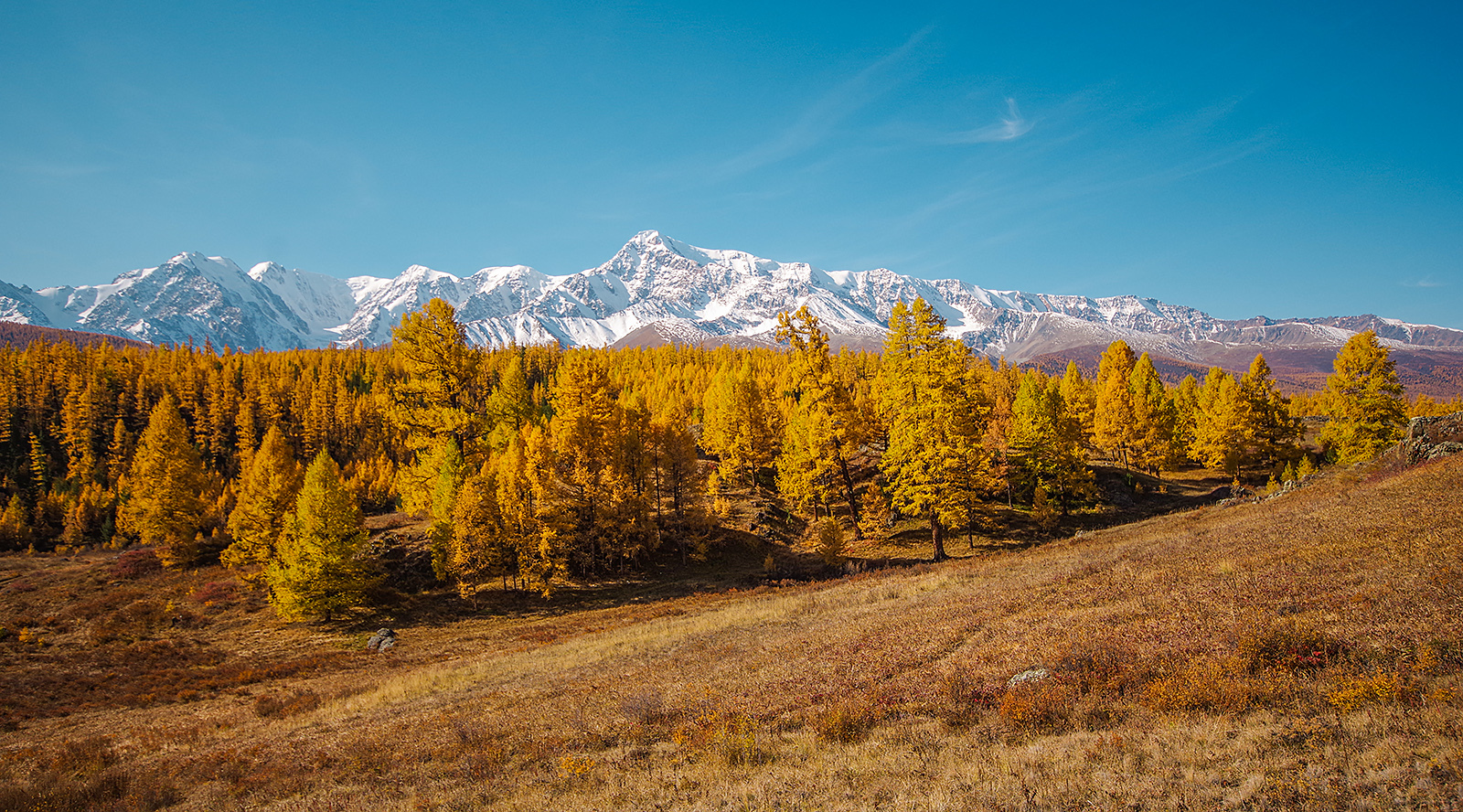 Lake Karakol and nearby - My, Altai Republic, Travels, Michael, Photo tour, Holidays in Russia, Leisure, Tourism, The photo, Longpost, Summer