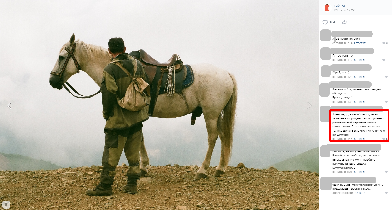 Noticeable detail - In contact with, The photo, Horses, Comments