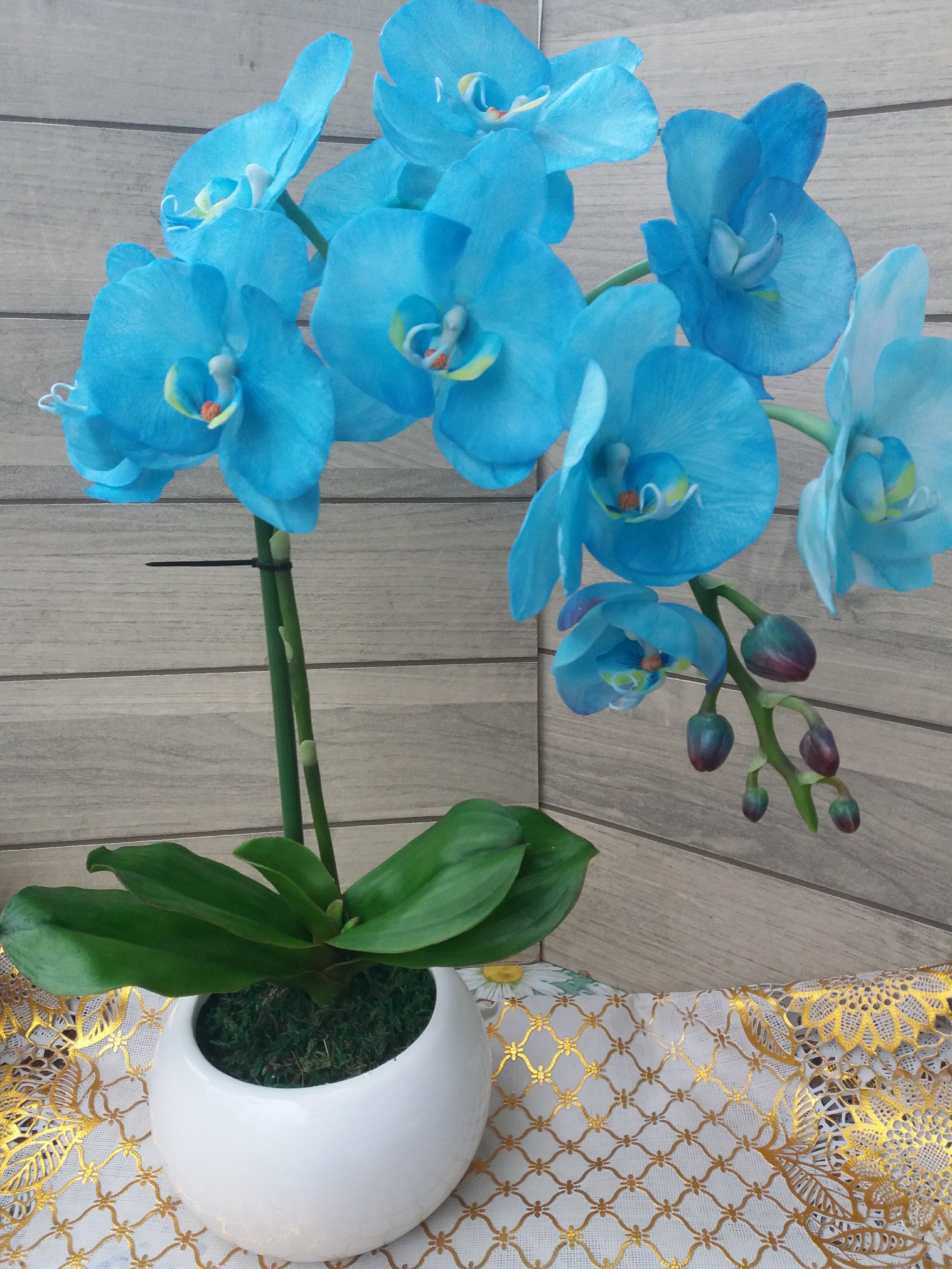 Blue orchid. - Blue Orchid, Cold porcelain, With your own hands, Longpost